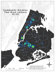 NYC_Gardens_Lettuce_Raster